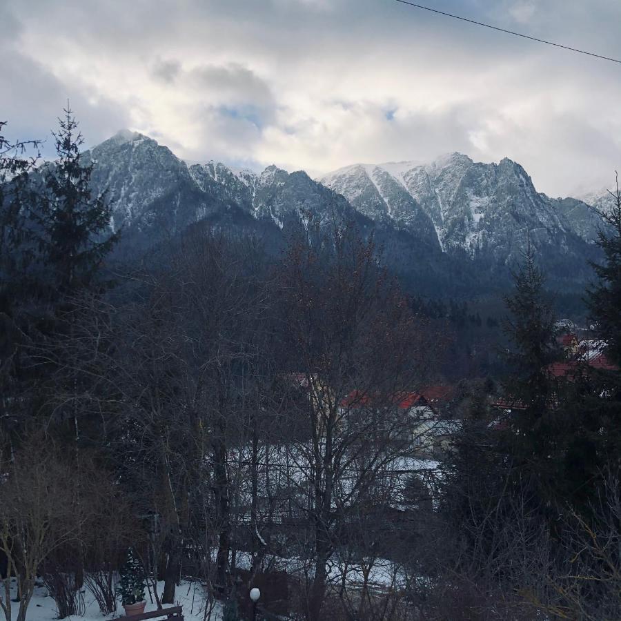 Bohemian Chalet Villa Buşteni Exterior foto