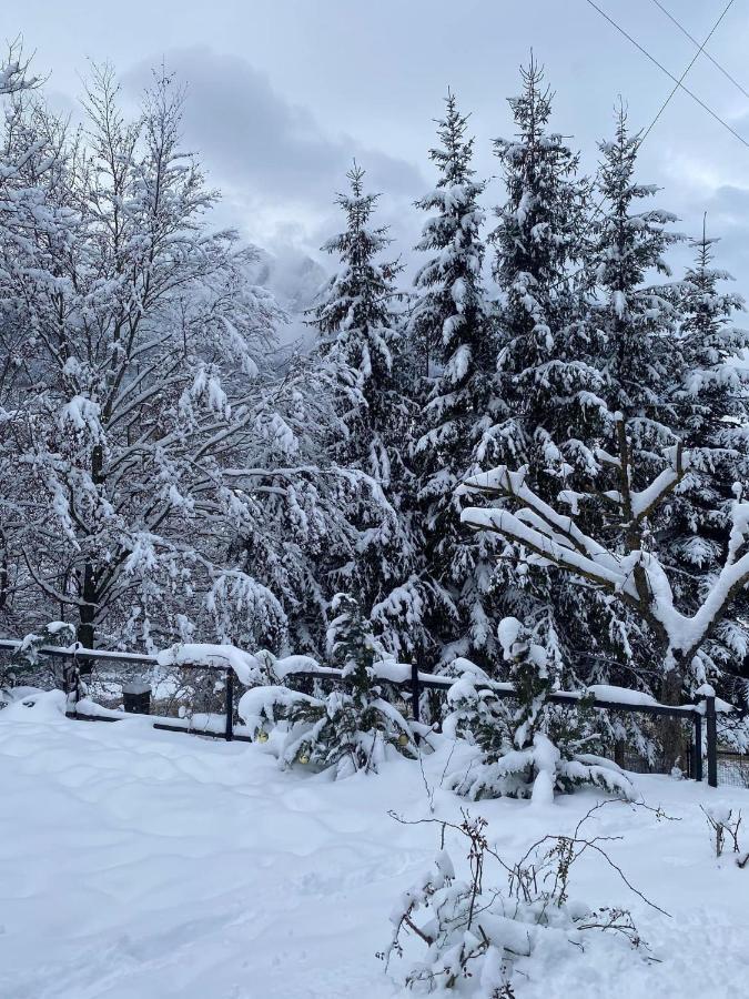 Bohemian Chalet Villa Buşteni Exterior foto