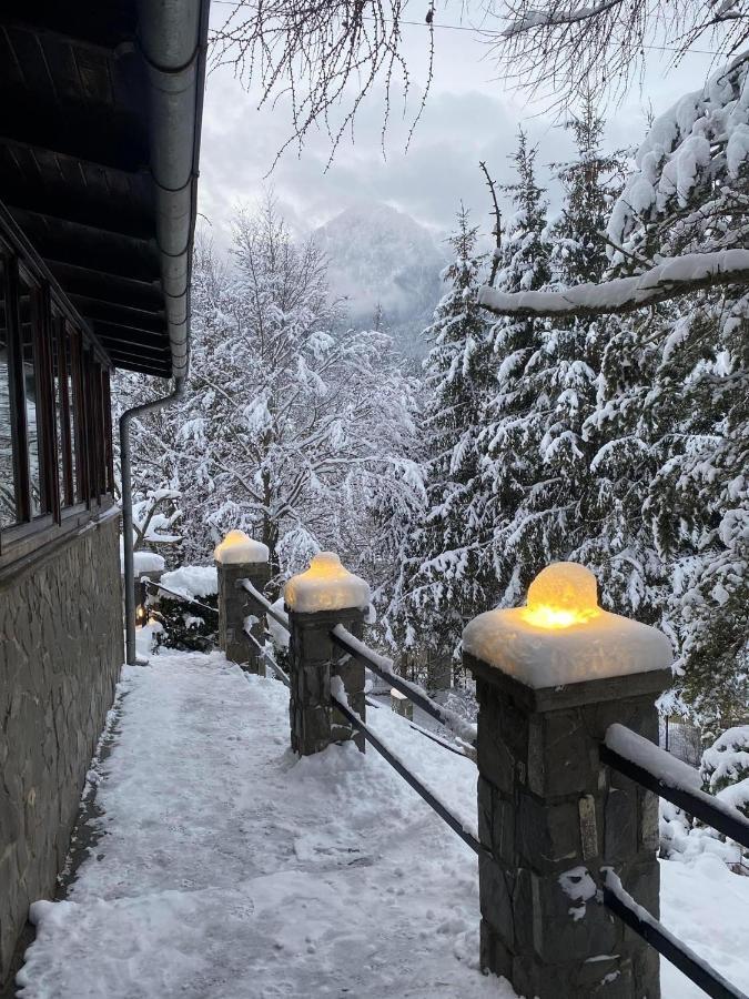 Bohemian Chalet Villa Buşteni Exterior foto